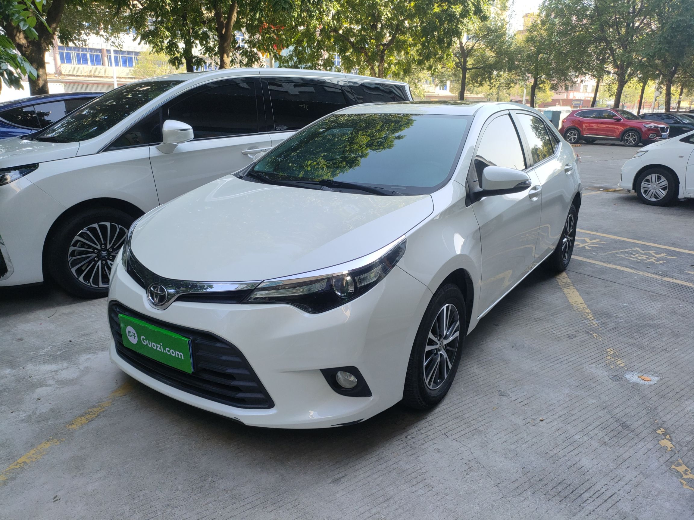 Parte inferior delantera