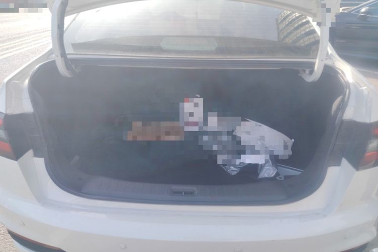 Used Venucia D60 2021 PLUS 1.6L XL CVT Yue Ling Edition