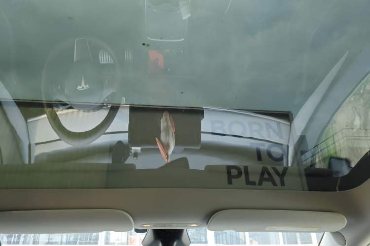 Used Tesla Model Y 2024 Rear-Wheel-Drive Version Headliner