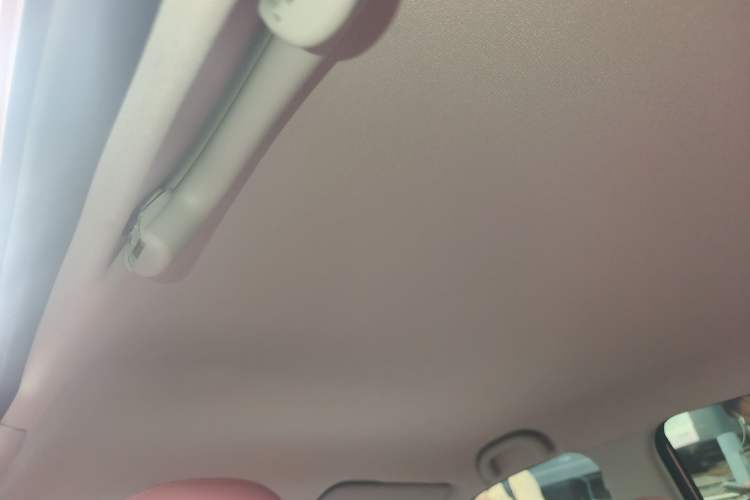 Used NETA V 2021 Witch Edition Headliner