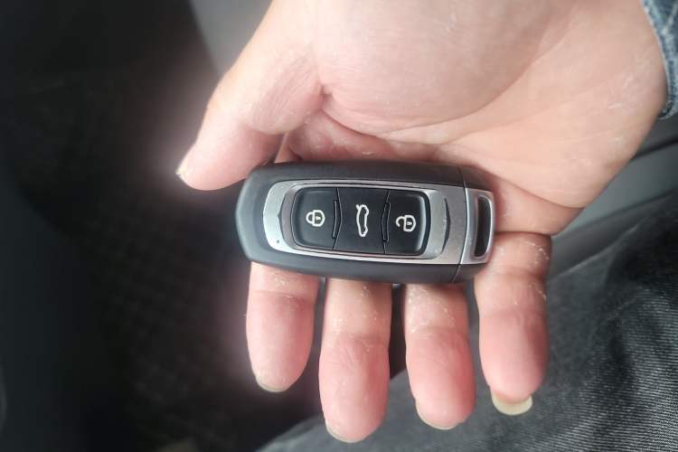 Used Geely Galaxy Panda 2024 Panda Mini 200km Endurance Bear Vehicle Key