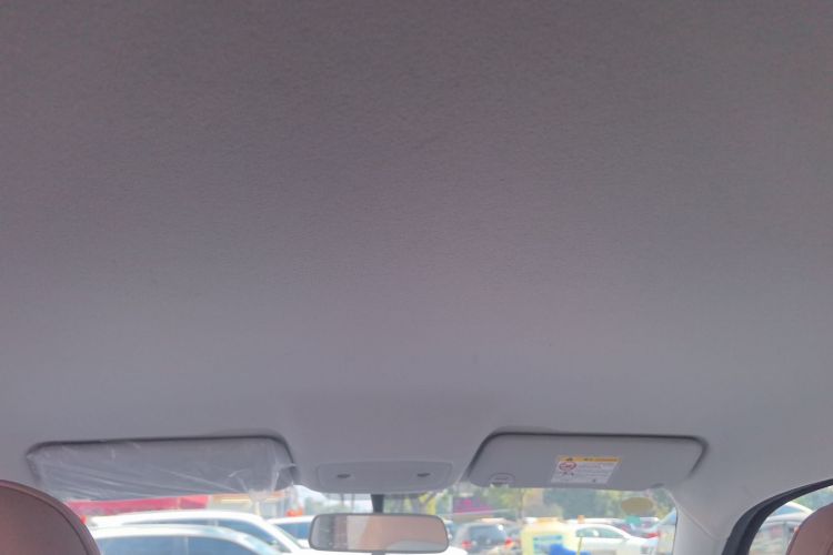 Used Leapmotor T03 2024 310 Comfort Edition Headliner