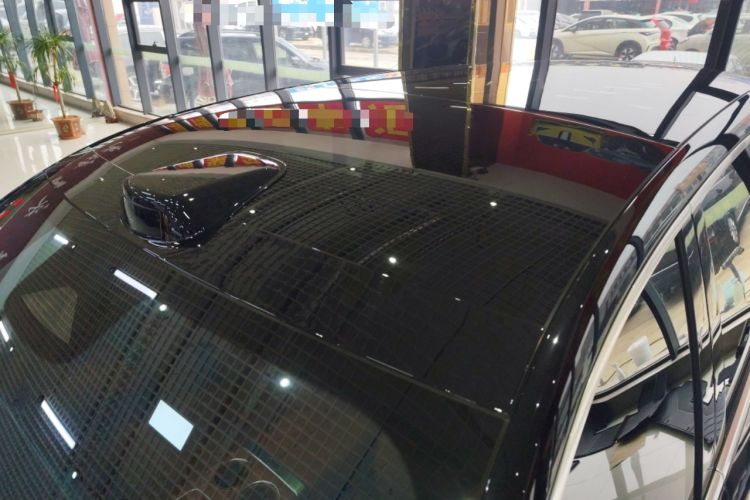 Used Li Auto L9 2024 Pro Model
