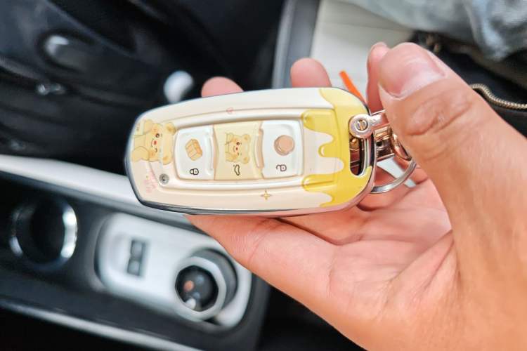 Used Geely Galaxy Panda 2025 210km Panda Rider