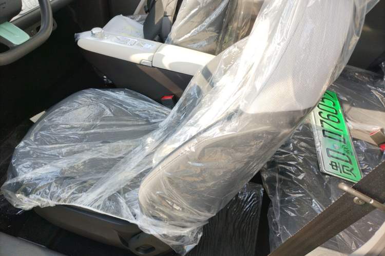 Used Qiyuan Lumin 2025 205 km Xiangqin Version