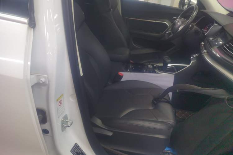 Used Haval H6 2017 Red Label 2.0T Automatic Two-Wheel Drive ZhiShang Model Right Front Seat