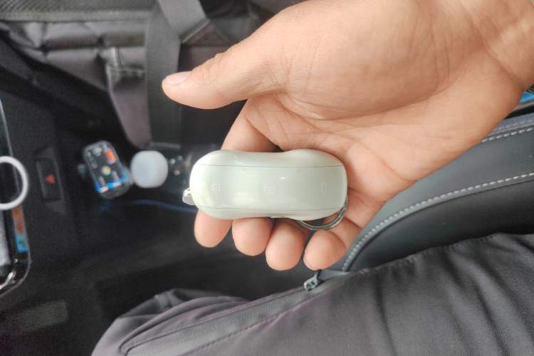 Used NETA V 2021 Long-Range Entertainment Edition Interior 1