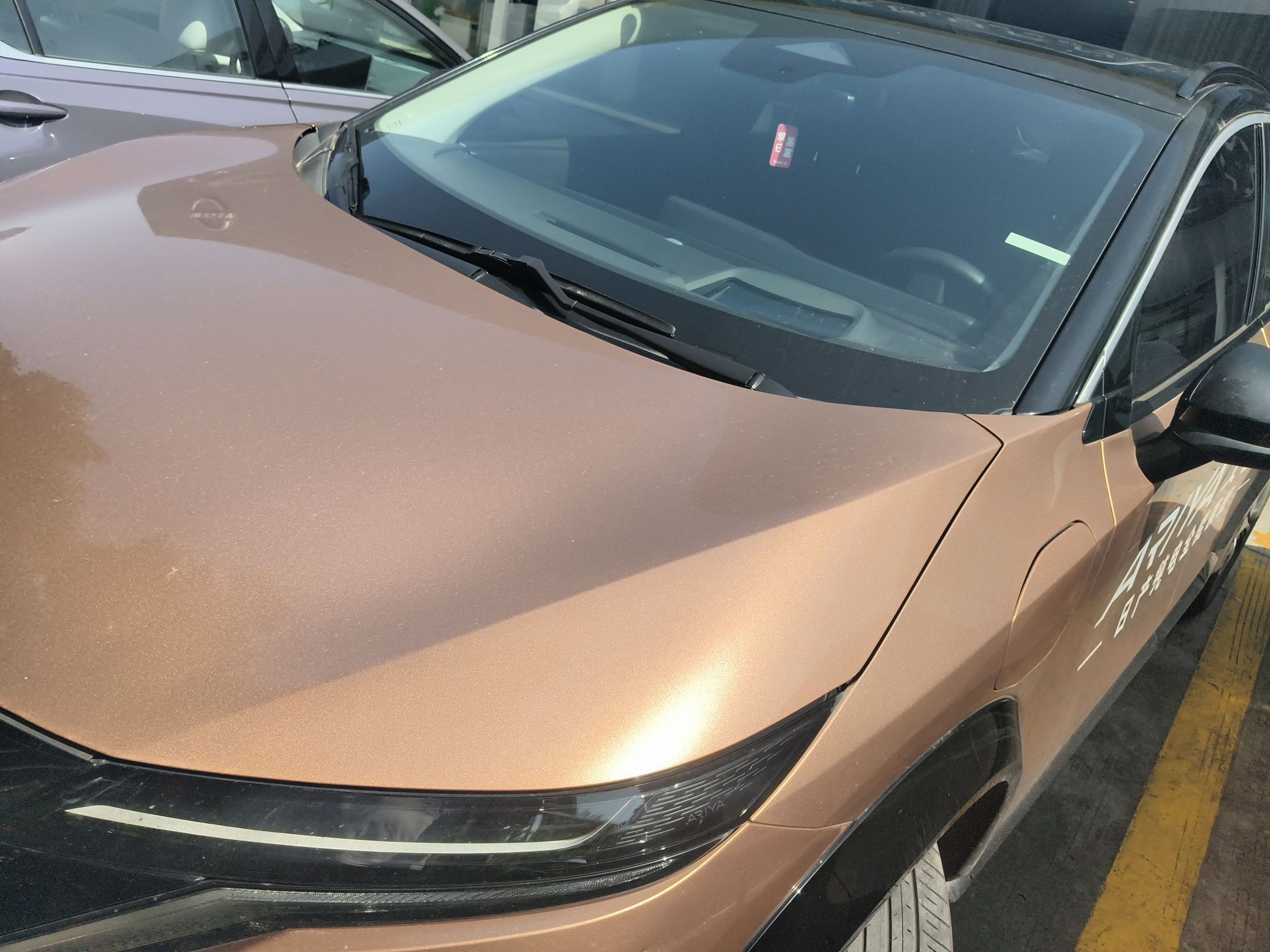 Parte inferior delantera