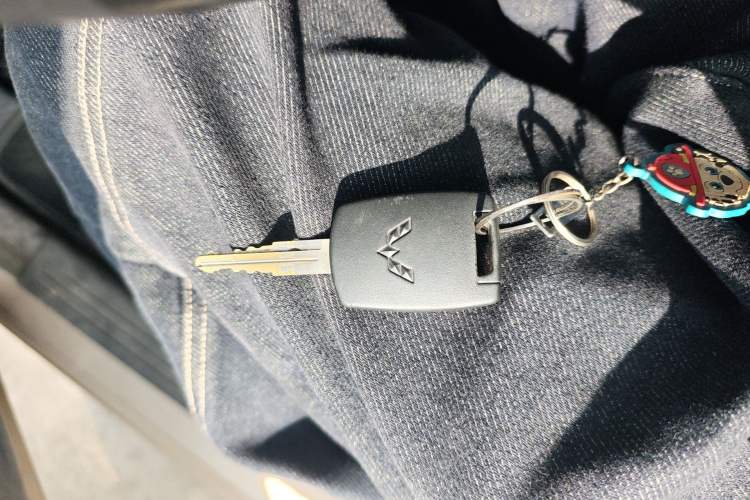 Used Wuling Hongguang V 2019 1.5L Base Version China VI LAR
