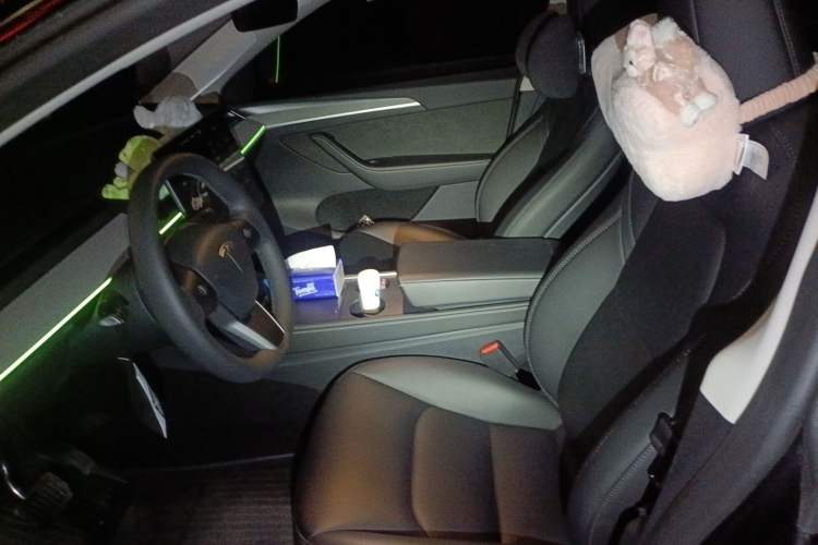 Used Tesla Model Y 2024 Rear-Wheel-Drive Version Left Front Seat