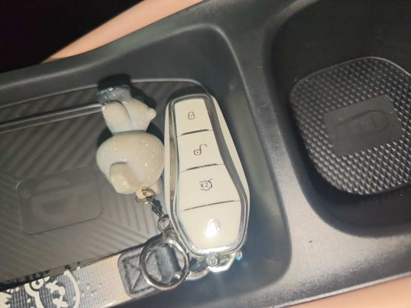 Used BYD Seagull 2024 Honor Edition 305km Freedom Version — 8