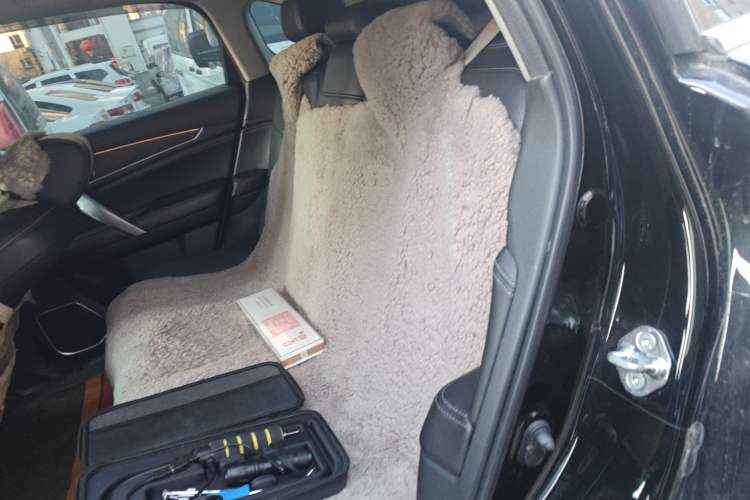 Used Honda Avancier 2020 370TURBO Four-Wheel Drive Premium Edition
