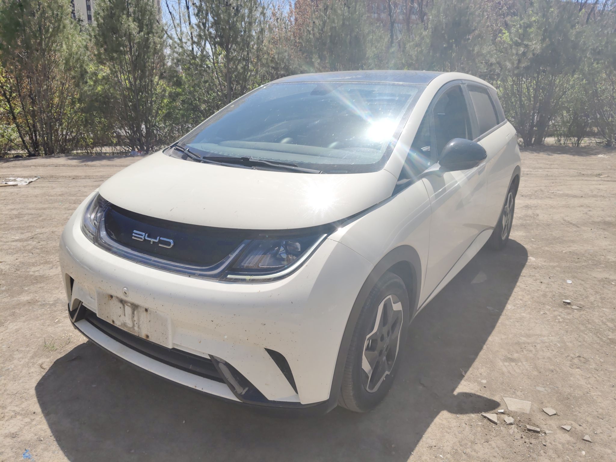 تحت مقدمة السيارة