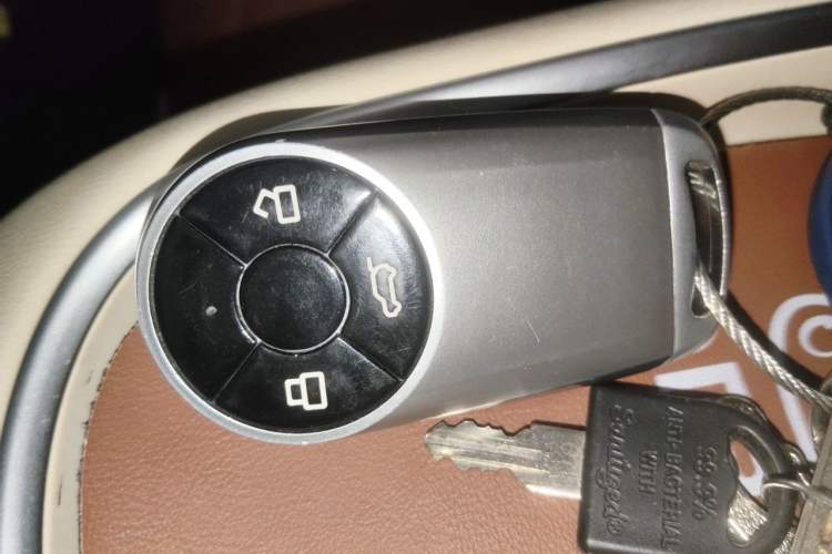 Used ORA Good Cat 2023 401 km Standard Range Luxury Version Lithium Iron Phosphate