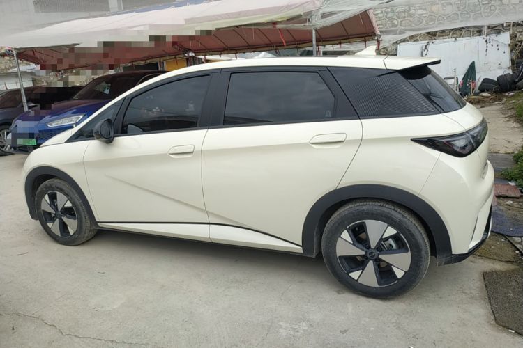 Used BYD Dolphin 2023 420 km Fashion Edition

