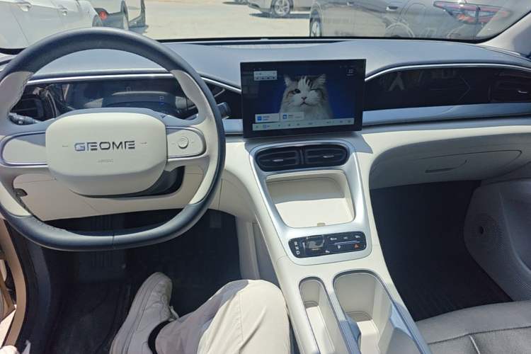 Used Geely Galaxy Geome 2025 310km Youth Edition
