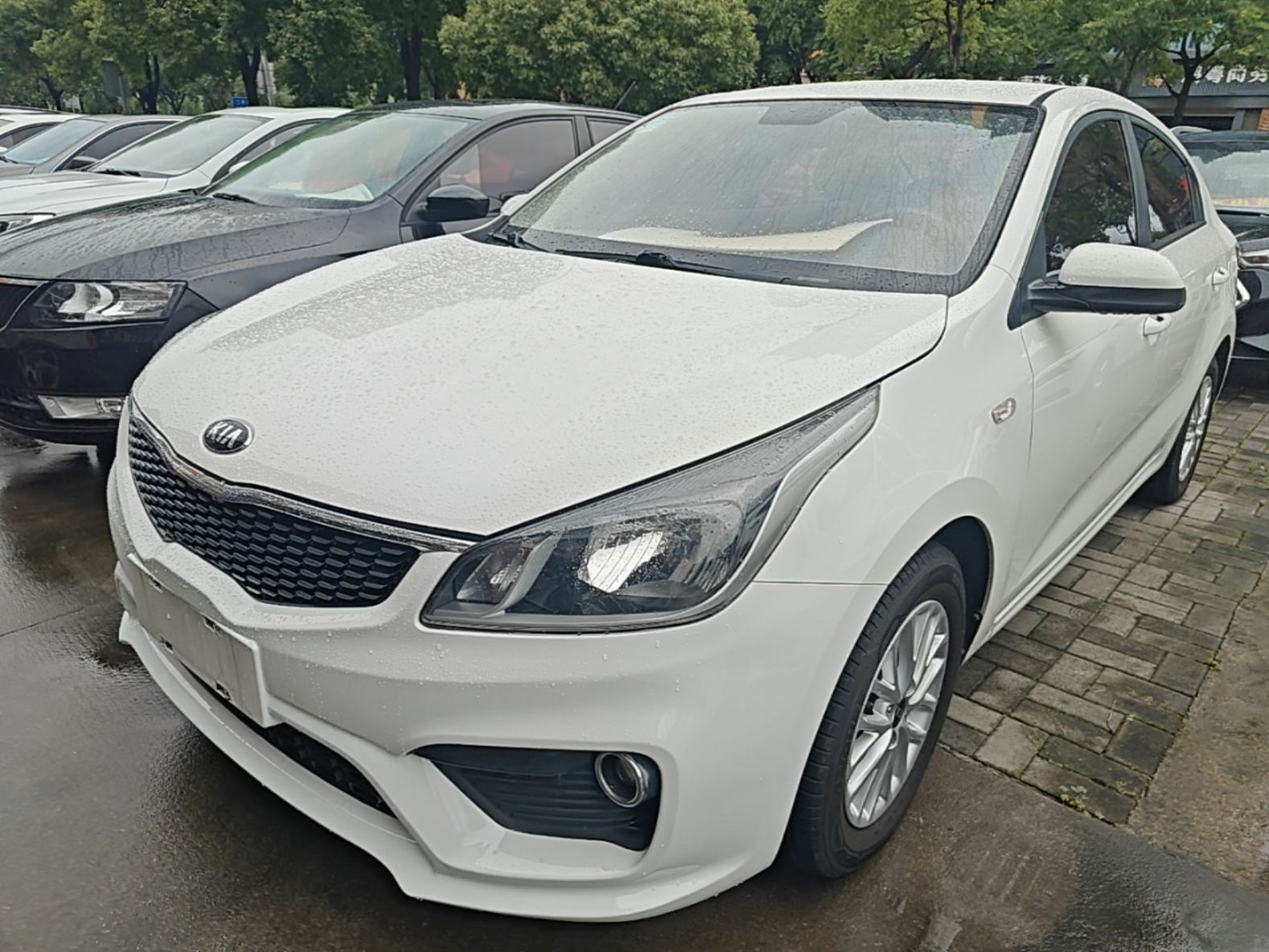 Under Front Bumper