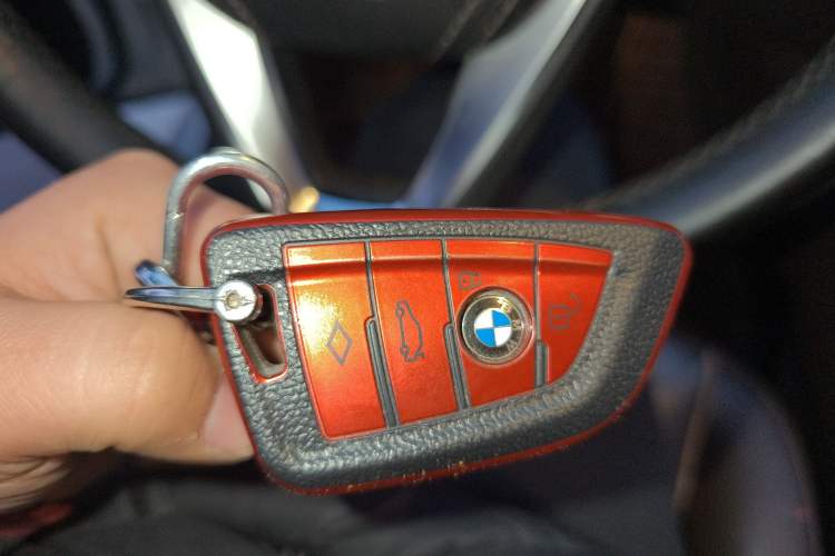 Used BMW 5 Series 2019 530Li Leading Model Luxury Package