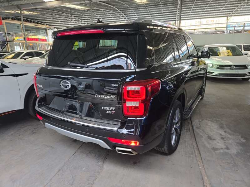 Used GAC Trumpchi GS8 2017 320T Two-Wheel Drive Luxury Smart Connectivity Version (7 Seats) — 6
