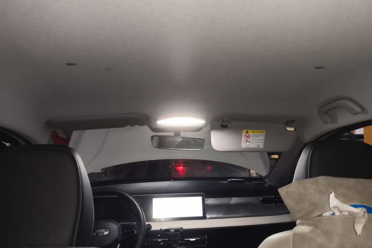 Used Geometry E Firefly 2022 320KM Cute Tiger 4-Seater