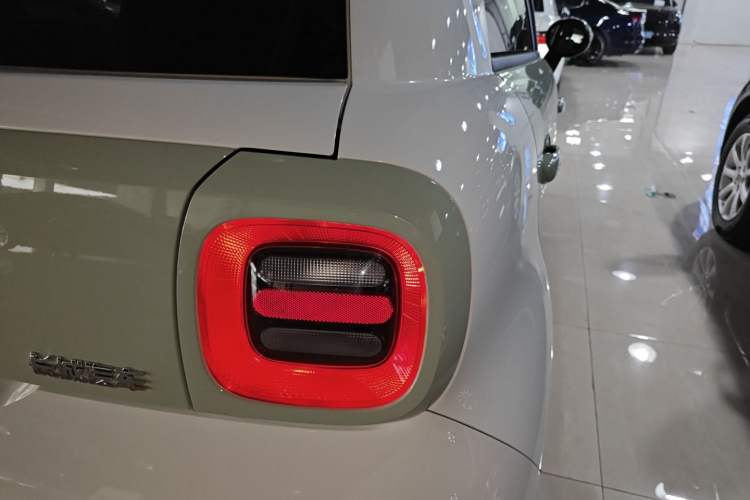 Used ORA Black Cat 2022 Updated Version 301 km Cute Pet Edition Lithium Iron Phosphate