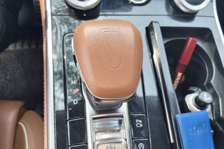 Used Hongqi H9 2020 2.0T Smart Connect Flagship Edition