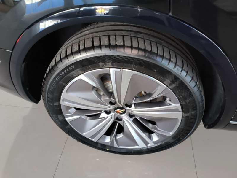 Used Hongqi E-HS9 2021 460 km Range Flagship Edition Six-Seater — 25