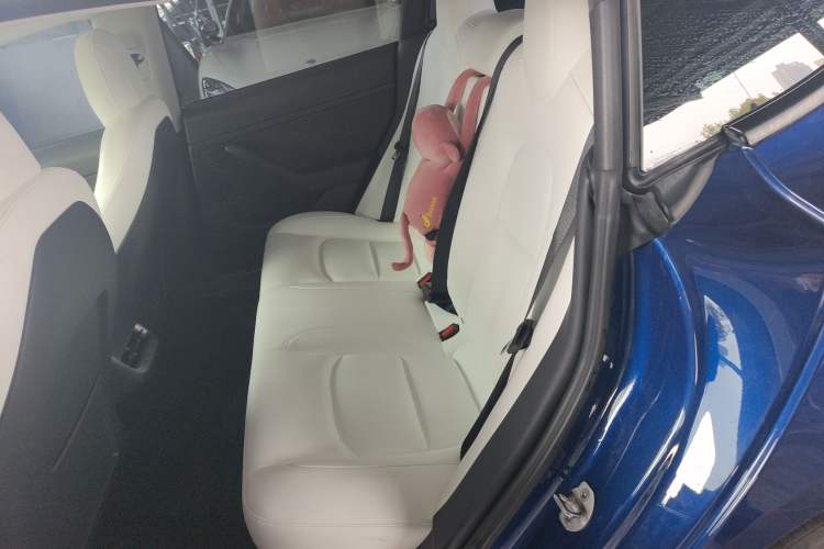 Used Tesla Model 3 2021 Performance High-Performance All-Wheel-Drive Version