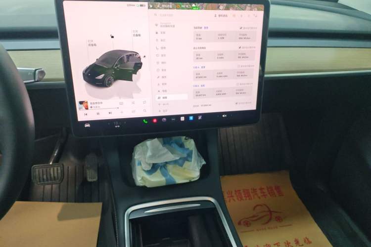 Used Tesla Model Y 2022 Rear-Wheel-Drive Version