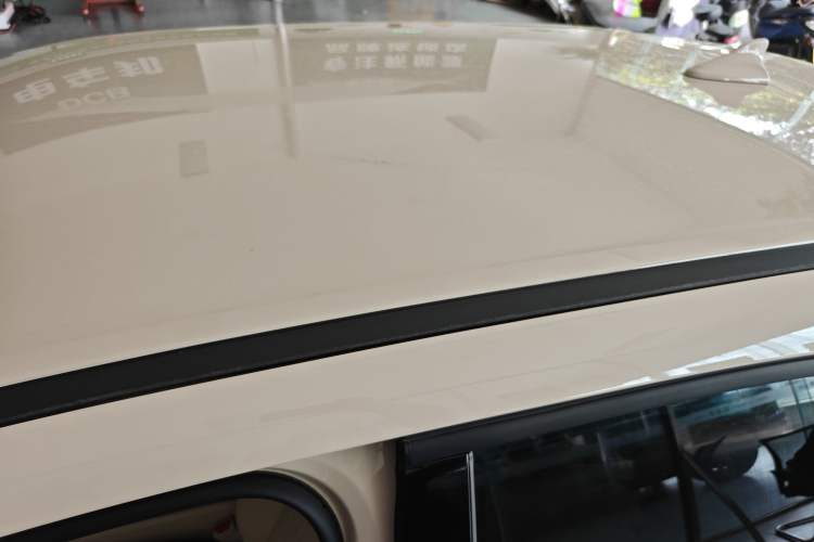 Used ORA Good Cat 2023 401 km Standard Range Luxury Version Lithium Iron Phosphate Roof