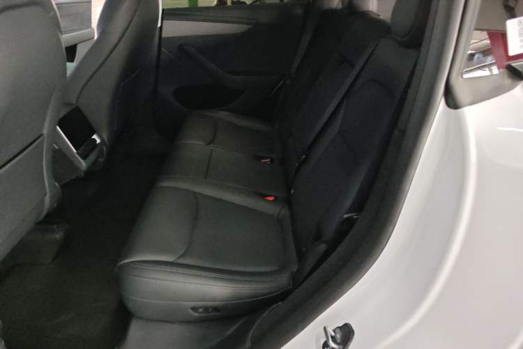 Used Tesla Model Y 2025 Updated Version Long-Range All-Wheel Drive Left Rear Seat