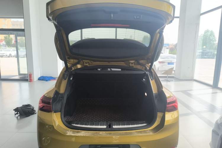 Used BMW X2 2020 sDrive25i Leading Model M Sport Package
