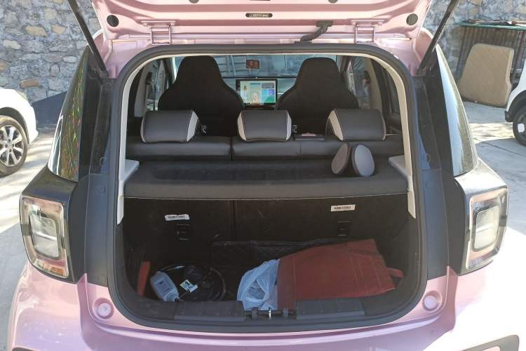 Used SOL E10X 2022 Flower Fairy Design Four-Leaf Clover Trunk