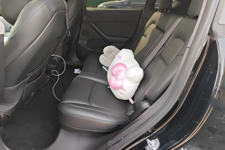 Used Tesla Model Y 2022 Revised Version Long-Range All-Wheel Drive