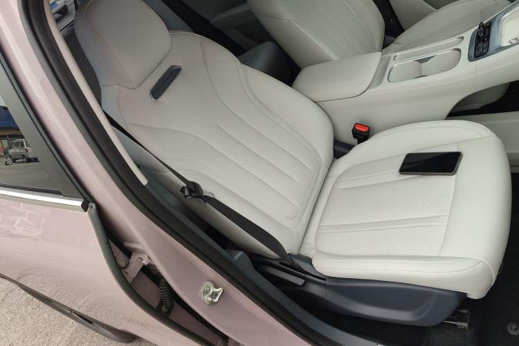 Used Geely Galaxy Geome 2025 310km Dream Edition Right Front Seat