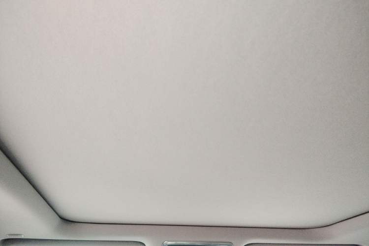 Used Lexus RX 2020 Facelifted 300 4x4 Elegant Edition Headliner