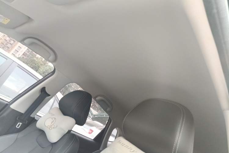 Used NETA V 2022 Pro Long-Range Smart Edition