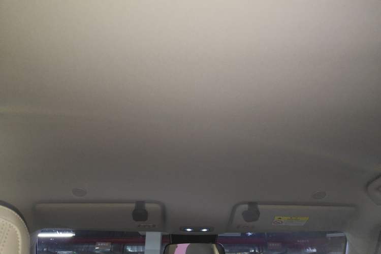 Used BYD Yuan UP 2024 401KM Leading Edition Headliner