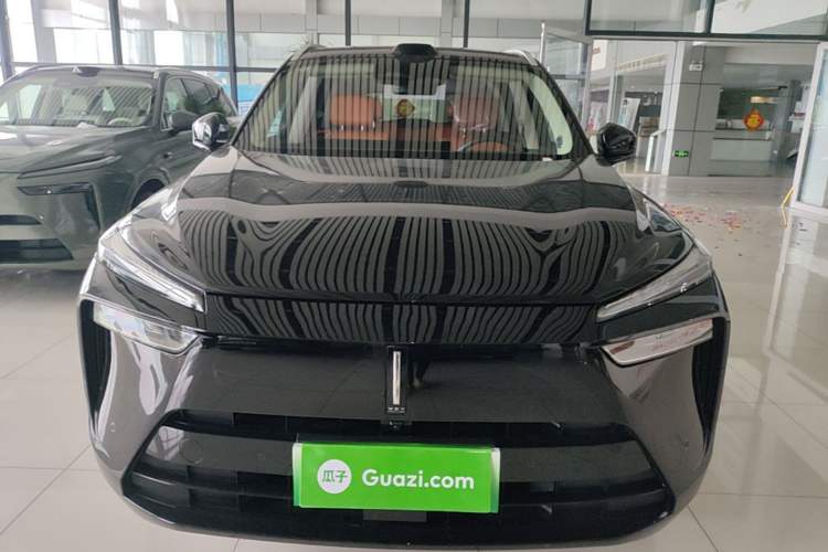 Used Wey Lanshan 2025 Four-Wheel Drive Ultra
