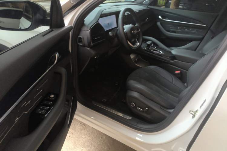 Used Geely Auto Monjaro L 2024 2.0TD High-Power Automatic Two-Wheel Drive Skyline Edition
