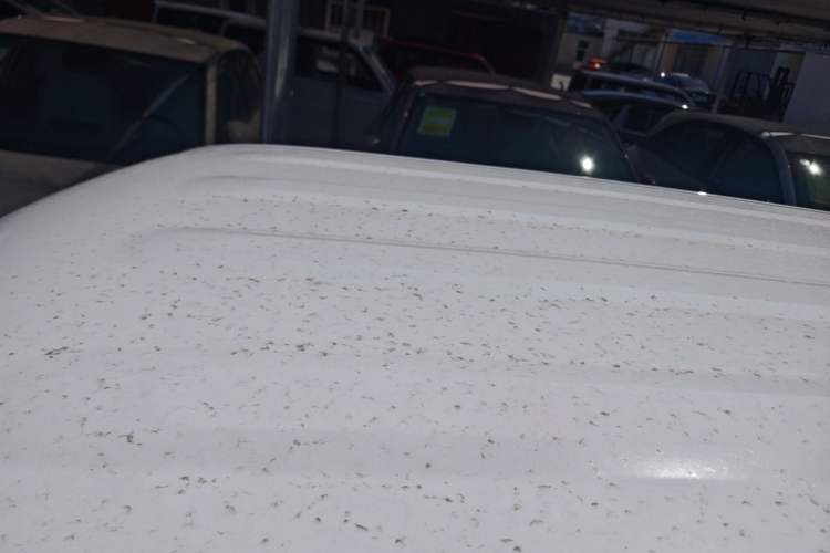 Used Geely Galaxy Panda 2025 210 km – Yuanqi Bear
