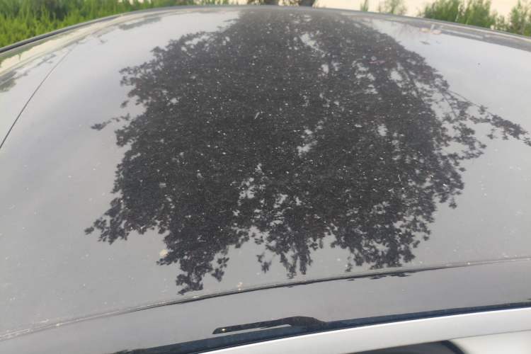 Used Volkswagen ID.3 2025 Smart Version Pure & Intelligent Enjoyment Edition