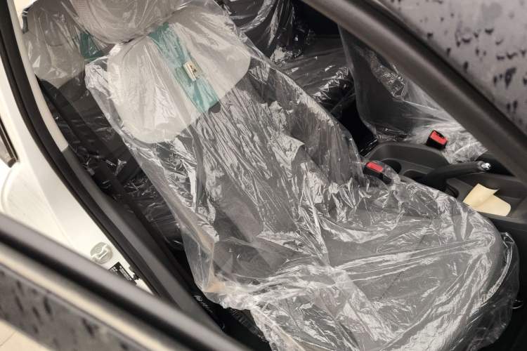 Used Qiyuan Lumin 2023 301km Honey Dew Edition
