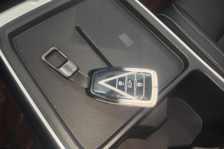 Used Venucia VX6 2024 520 Travel Edition
