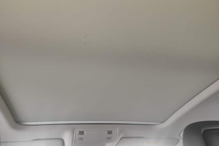 Used Volkswagen Magotan 2019 330TSI DSG Luxury Version China VI Standard Headliner