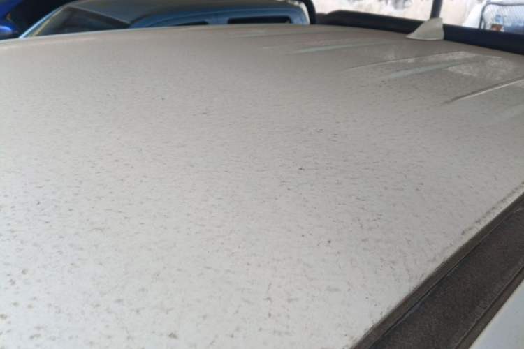 Used Great Wall Poer 2024 2.4T Commercial Version Automatic Diesel Two-Wheel Drive Elite Edition
