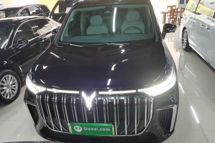 Used VOYAH Dream 2024 PHEV Ultra-Long Range Flagship Edition
