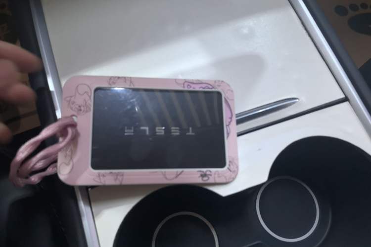 Used Tesla Model Y 2022 Revised Version Long-Range All-Wheel Drive