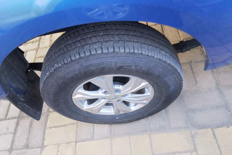 Used Dongfeng Ruichi 6 2021 2.3T Automatic Two-Wheel Drive Diesel Luxury Long-Box M9T