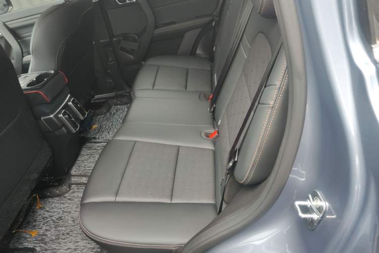 Used Haval DARGO 2024 2.0T DCT Chinese Rural Dog Edition Left Rear Seat
